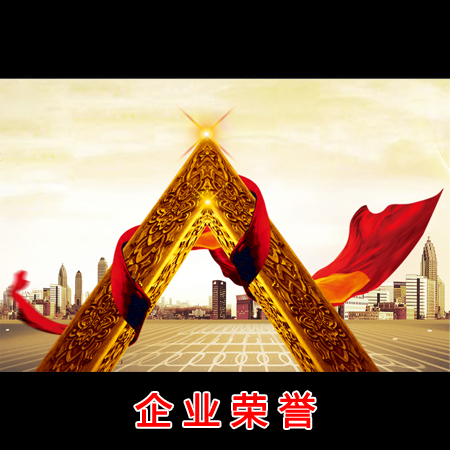 鄄城华鲁仪器荣誉